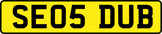 SE05DUB