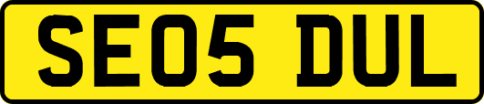 SE05DUL