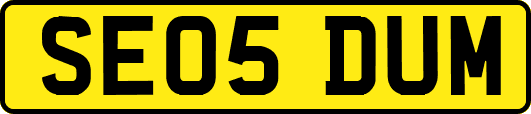 SE05DUM