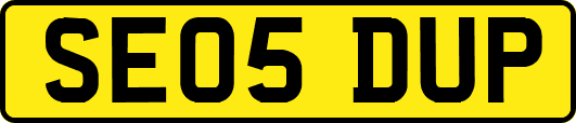 SE05DUP