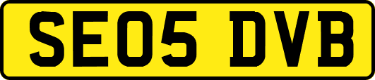 SE05DVB