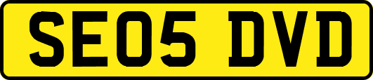 SE05DVD