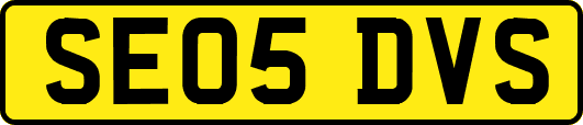 SE05DVS