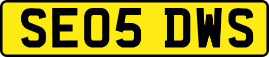 SE05DWS