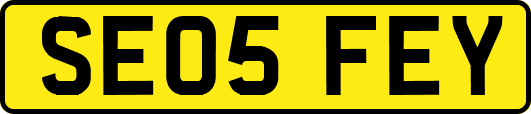SE05FEY