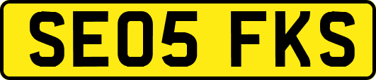 SE05FKS