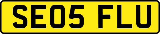 SE05FLU
