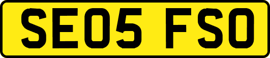 SE05FSO