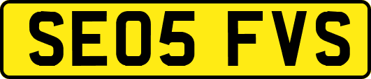SE05FVS