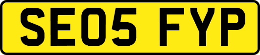 SE05FYP