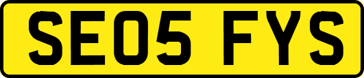 SE05FYS