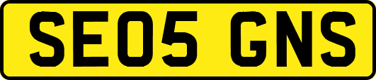 SE05GNS