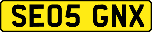 SE05GNX