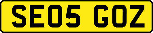 SE05GOZ