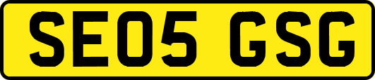 SE05GSG