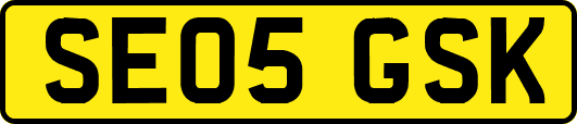 SE05GSK