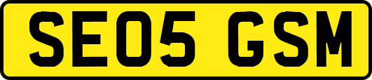 SE05GSM