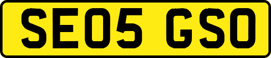 SE05GSO