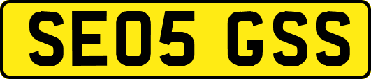 SE05GSS