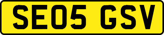 SE05GSV