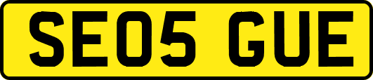 SE05GUE