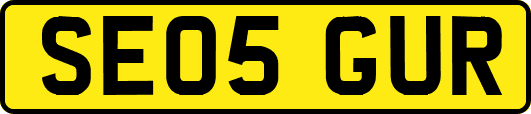 SE05GUR