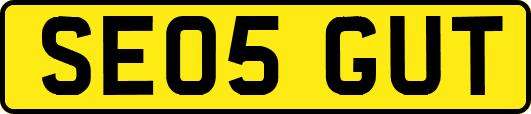 SE05GUT