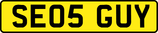 SE05GUY