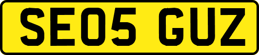 SE05GUZ