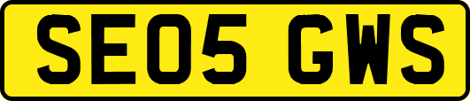 SE05GWS
