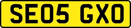 SE05GXO