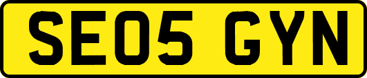 SE05GYN