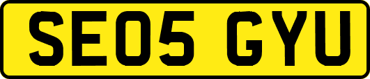 SE05GYU