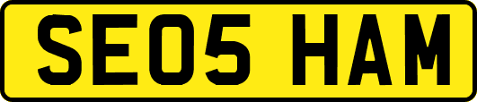 SE05HAM