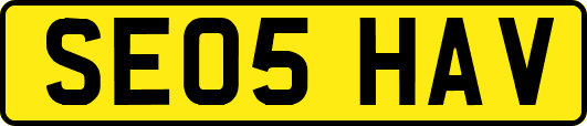 SE05HAV