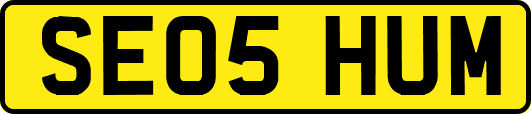 SE05HUM