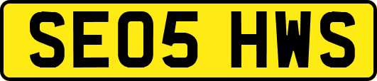SE05HWS