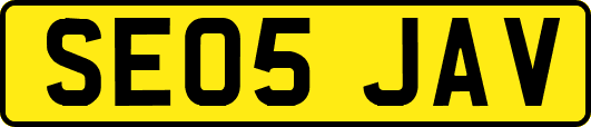 SE05JAV