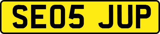 SE05JUP