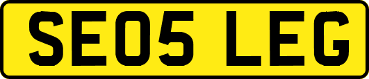 SE05LEG