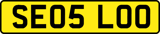 SE05LOO