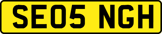 SE05NGH