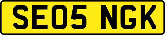 SE05NGK