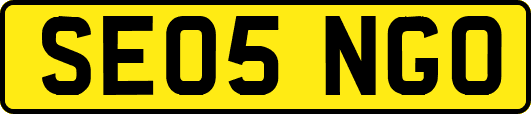 SE05NGO