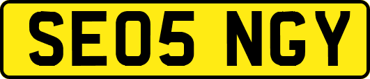 SE05NGY