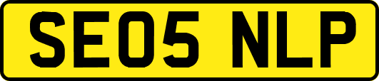 SE05NLP