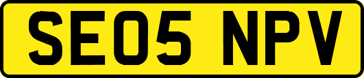 SE05NPV