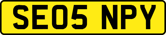 SE05NPY