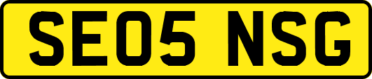 SE05NSG