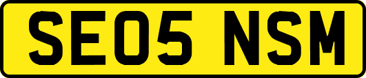 SE05NSM